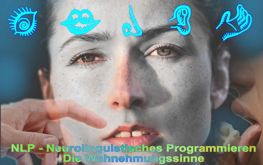Systemische Aufstellungen und Coaching mit - NLP - Neurolinguistisches Programmieren - owi - open way institute – www.owi-die-aufsteller.ch